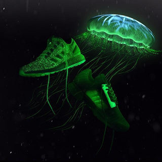 adidas Consortium Sneaker Exchange - Sneakerboy x Wish